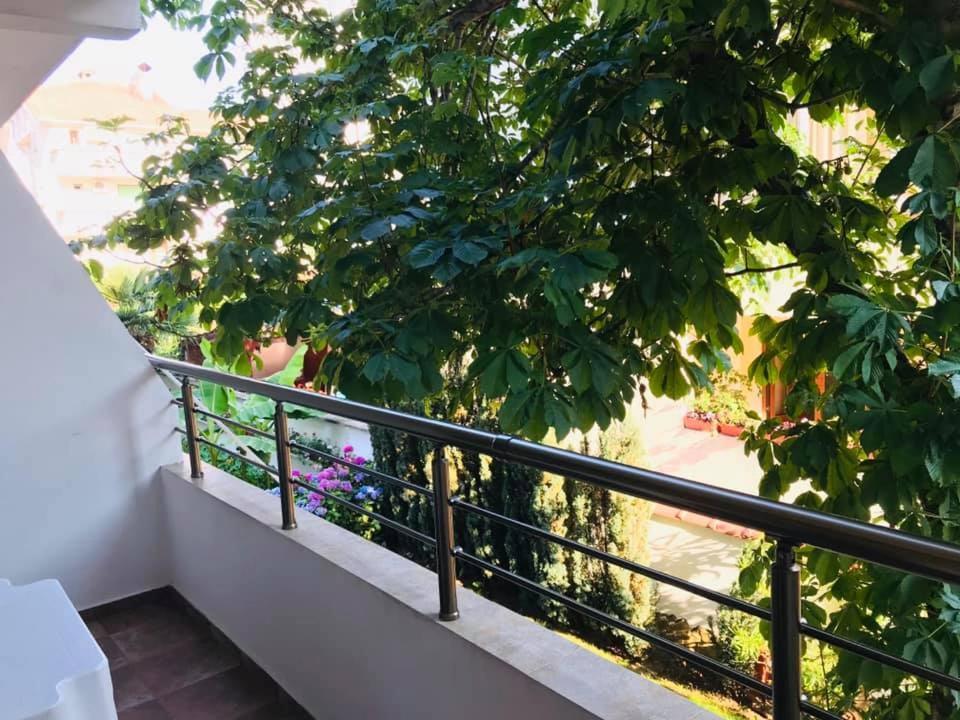 Джорджия Hotel Kiten  Kültér fotó